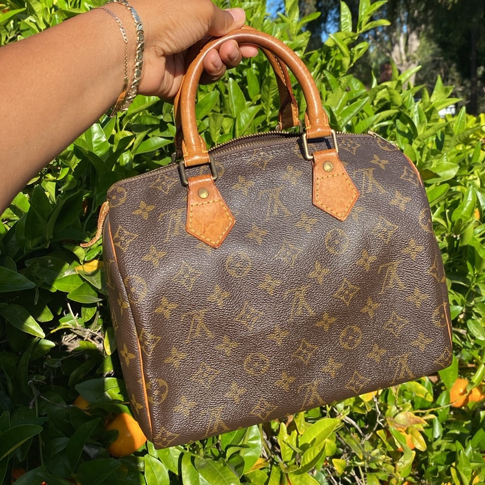 Louis Vuitton Speedy 25
